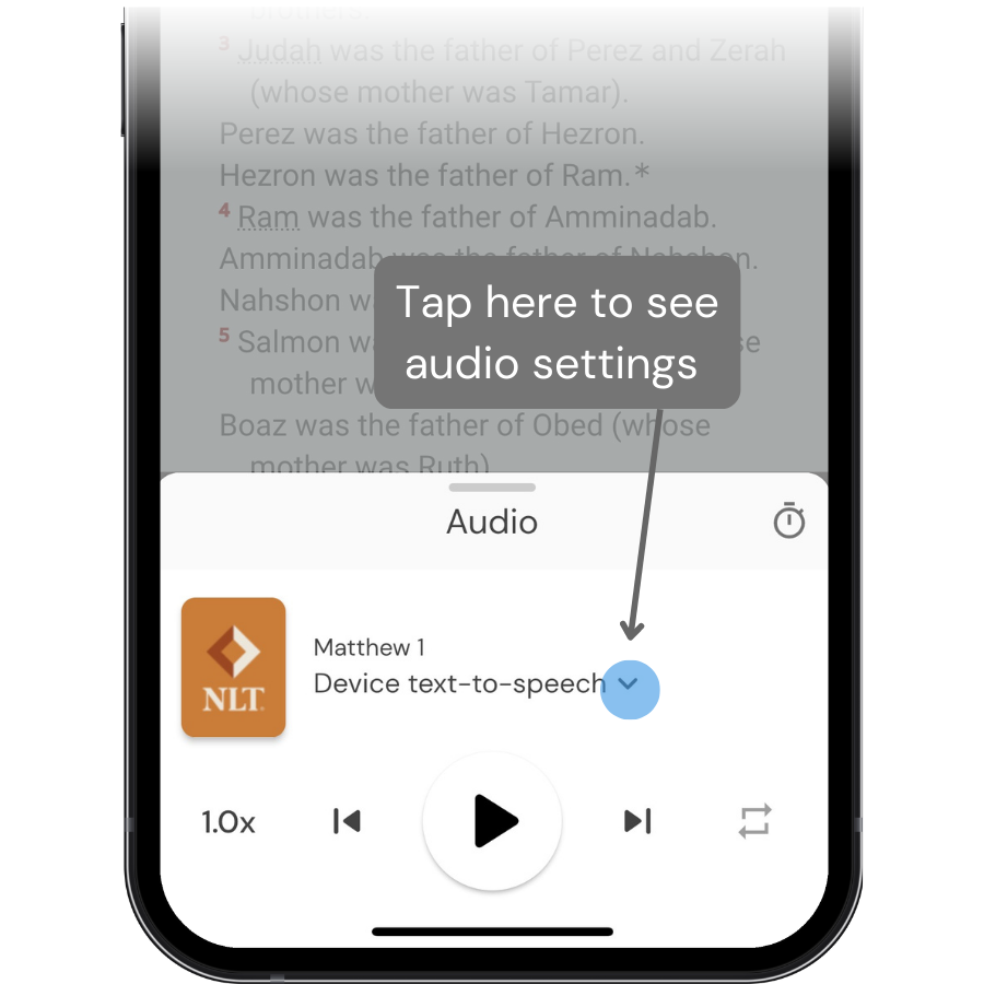 audio_2.png